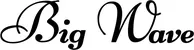 Produktbeispiel Schriftzug - Big Wave