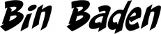 Produktbeispiel Schriftzug - Bin Baden
