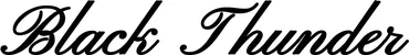 Produktbeispiel Schriftzug - Black Thunder