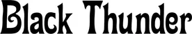 Produktbeispiel Schriftzug - Black Thunder