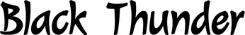 Produktbeispiel Schriftzug - Black Thunder