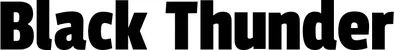Produktbeispiel Schriftzug - Black Thunder