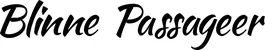 Produktbeispiel Schriftzug - Blinne Passageer