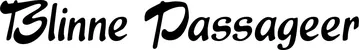 Produktbeispiel Schriftzug - Blinne Passageer