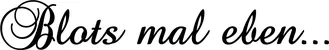 Produktbeispiel Schriftzug - Blots mal eben...