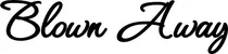 Produktbeispiel Schriftzug - Blown Away