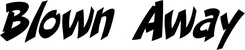 Produktbeispiel Schriftzug - Blown Away
