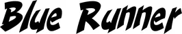 Produktbeispiel Schriftzug - Blue Runner