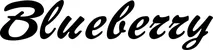 Produktbeispiel Schriftzug - Blueberry