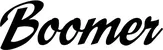 Produktbeispiel Schriftzug - Boomer
