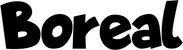 Produktbeispiel Schriftzug - Boreal