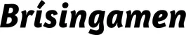 Produktbeispiel Schriftzug - Brísingamen