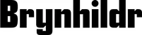 Produktbeispiel Schriftzug - Brynhildr