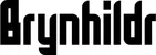 Produktbeispiel Schriftzug - Brynhildr