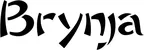 Produktbeispiel Schriftzug - Brynja
