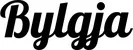 Produktbeispiel Schriftzug - Bylgja