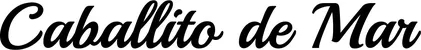 Produktbeispiel Schriftzug - Caballito de Mar