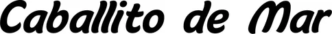 Produktbeispiel Schriftzug - Caballito de Mar
