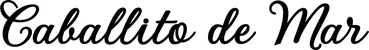 Produktbeispiel Schriftzug - Caballito de Mar