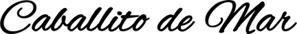 Produktbeispiel Schriftzug - Caballito de Mar