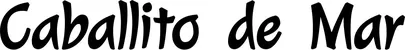 Produktbeispiel Schriftzug - Caballito de Mar