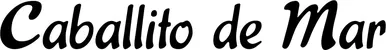 Produktbeispiel Schriftzug - Caballito de Mar
