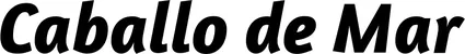 Produktbeispiel Schriftzug - Caballo de Mar