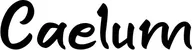 Produktbeispiel Schriftzug - Caelum