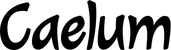 Produktbeispiel Schriftzug - Caelum