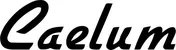 Produktbeispiel Schriftzug - Caelum
