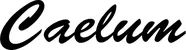 Produktbeispiel Schriftzug - Caelum