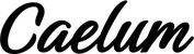 Produktbeispiel Schriftzug - Caelum