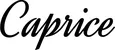 Produktbeispiel Schriftzug - Caprice
