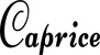 Produktbeispiel Schriftzug - Caprice