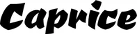 Produktbeispiel Schriftzug - Caprice