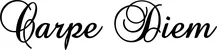 Produktbeispiel Schriftzug - Carpe Diem