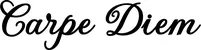 Produktbeispiel Schriftzug - Carpe Diem