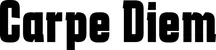 Produktbeispiel Schriftzug - Carpe Diem