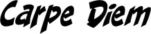 Produktbeispiel Schriftzug - Carpe Diem