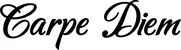 Produktbeispiel Schriftzug - Carpe Diem