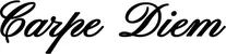Produktbeispiel Schriftzug - Carpe Diem