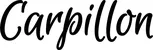 Produktbeispiel Schriftzug - Carpillon