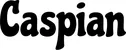 Produktbeispiel Schriftzug - Caspian
