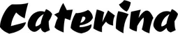 Produktbeispiel Schriftzug - Caterina