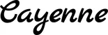 Produktbeispiel Schriftzug - Cayenne
