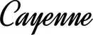 Produktbeispiel Schriftzug - Cayenne