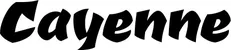Produktbeispiel Schriftzug - Cayenne