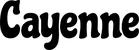 Produktbeispiel Schriftzug - Cayenne