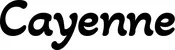 Produktbeispiel Schriftzug - Cayenne