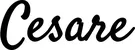 Produktbeispiel Schriftzug - Cesare